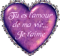 tu es l'amour de la vie