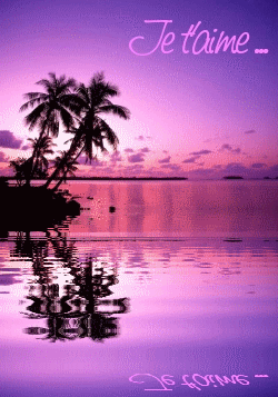 je t'aime